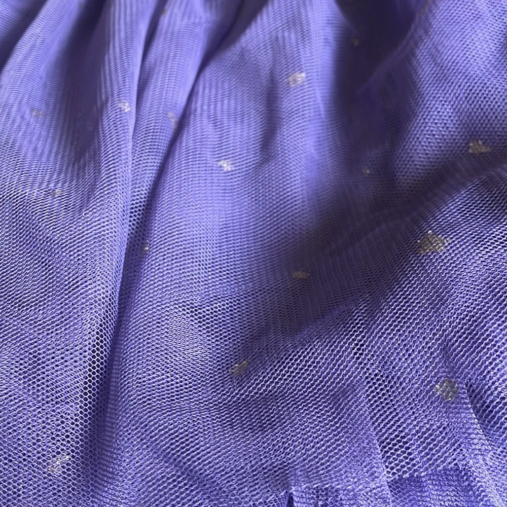 FINAL MARKDOWN Genuine kids Purple Tulle Skirt with Glitter Accents 5t